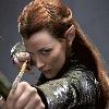 Les Elfes